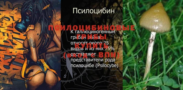 гидра Верхнеуральск