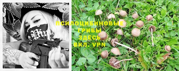 гидра Верхнеуральск