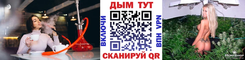 где можно купить   Тверь  Бошки Шишки OG Kush 